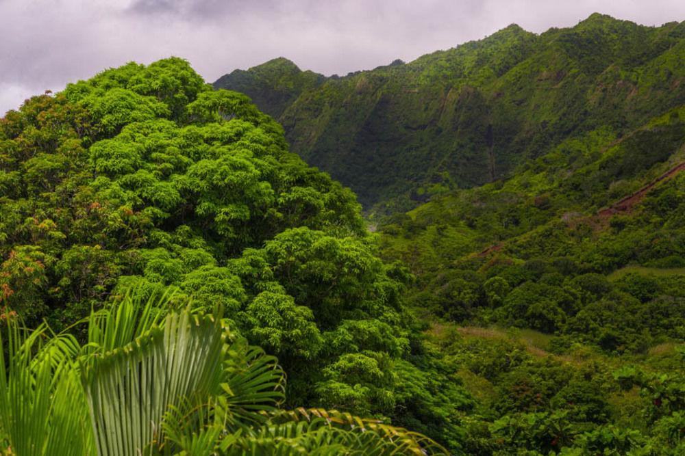 Hale Ho'O Maha Bed And Breakfast Hanalei Luaran gambar